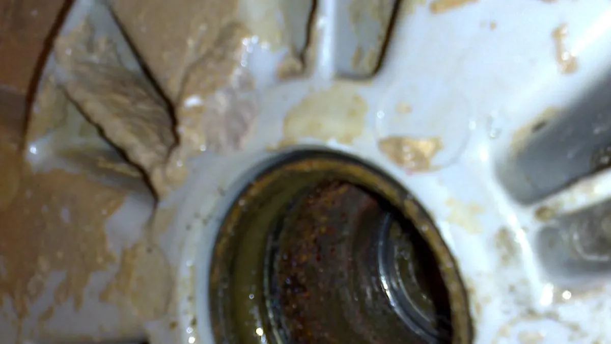 Grease-packed spoked bearing hub shown during lubrication maintenance